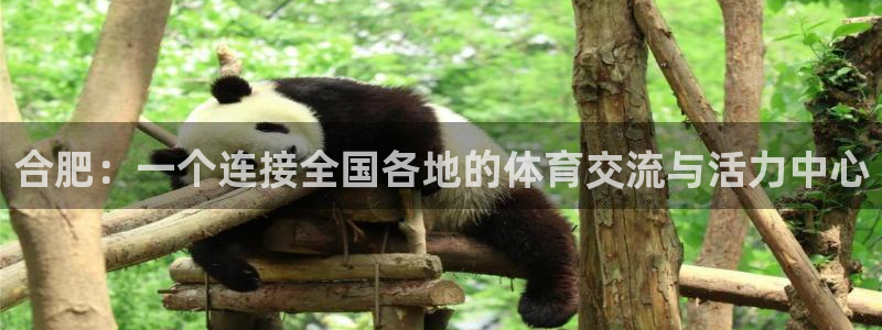 意昂5Kgame体育凯捷平台注册