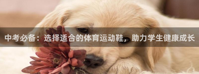 意昂5Kgame体育凯捷代理注册