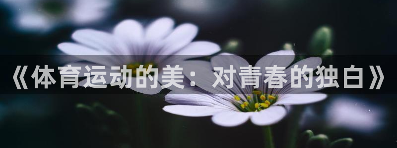 意昂5Kgame官网入口