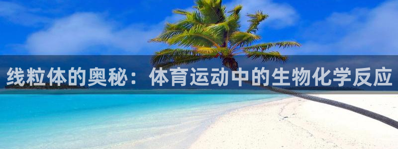 意昂5Kgame集团股票s