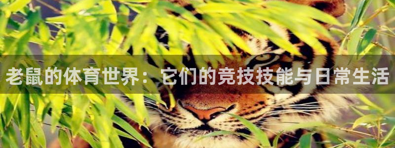意昂5Kgame2平台登录