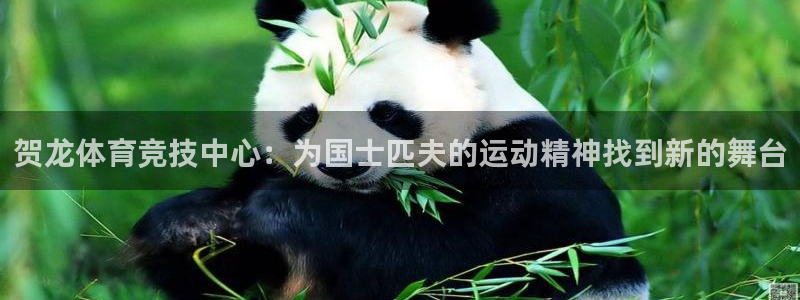 意昂5Kgame体育游戏