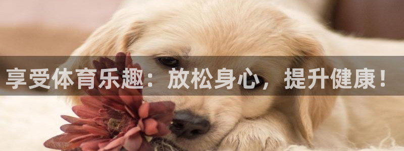 意昂5Kgame2登录入口