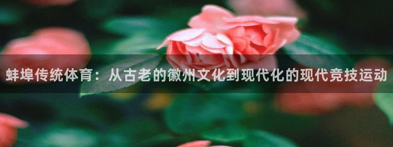意昂5Kgame体育热门赛事有哪些