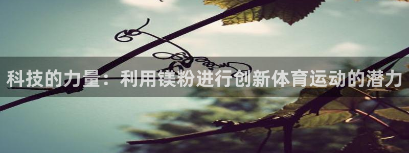 意昂5Kgame体育凯捷平台招商