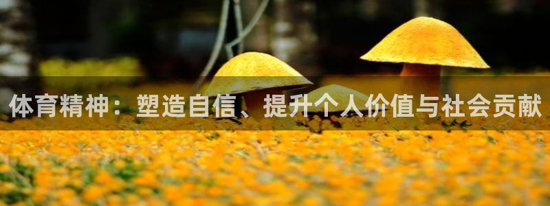 意昂5Kgame体育2