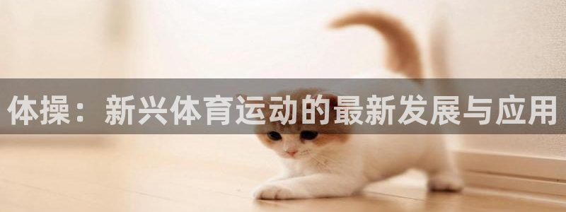 意昂5Kgame主管